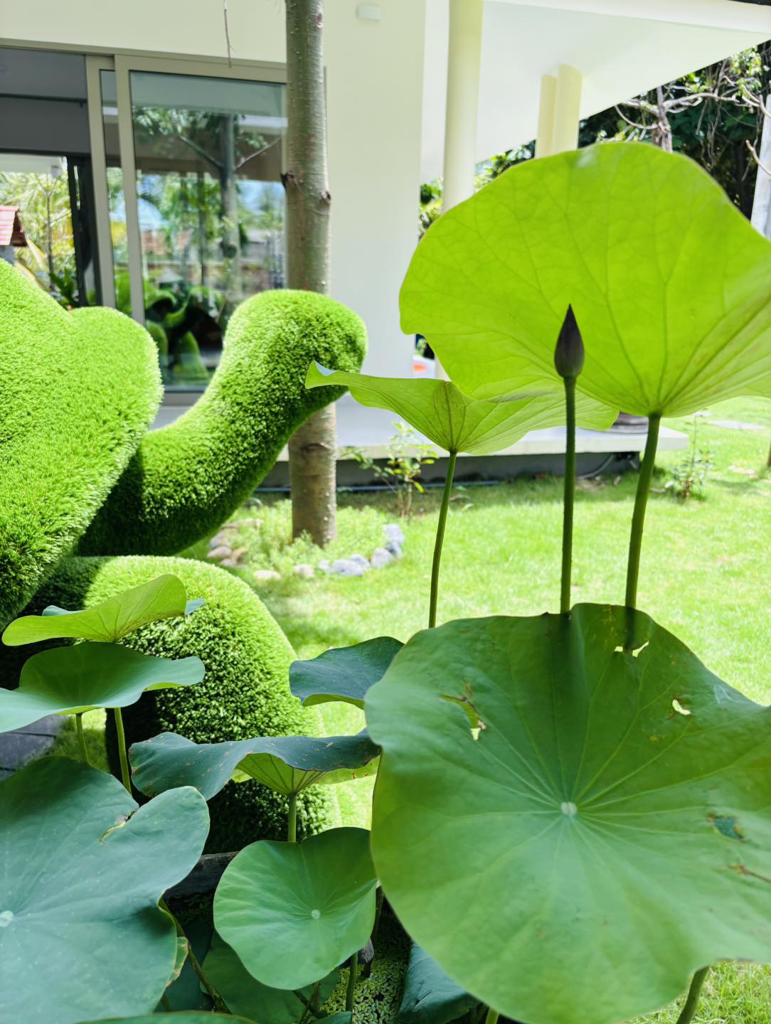 Lạc Villa – chốn trú ngụ của bình yên, tiện nghi và tình thân