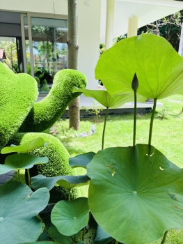 Lạc Villa – chốn trú ngụ của bình yên, tiện nghi và tình thân